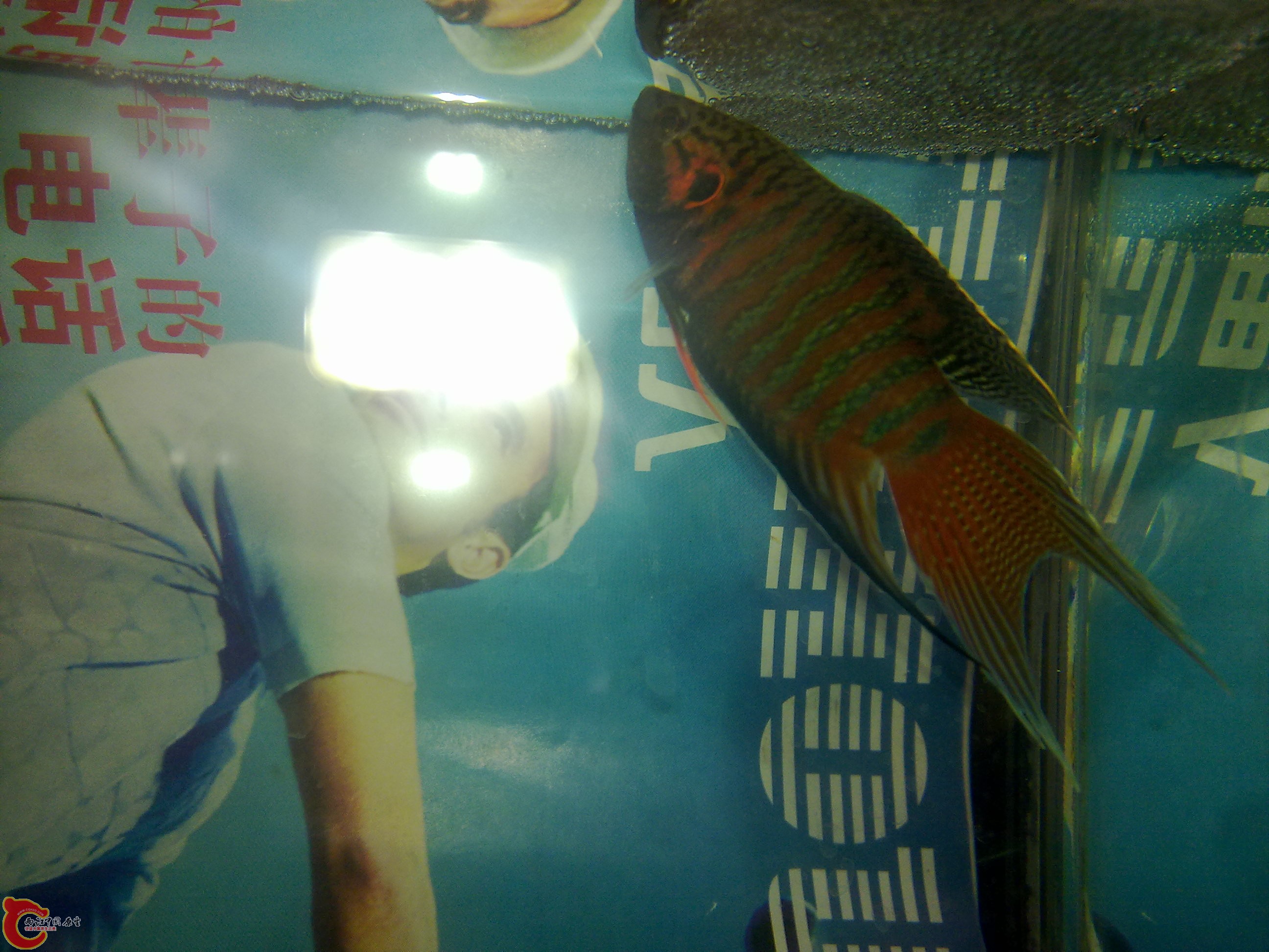 20110521402.jpg