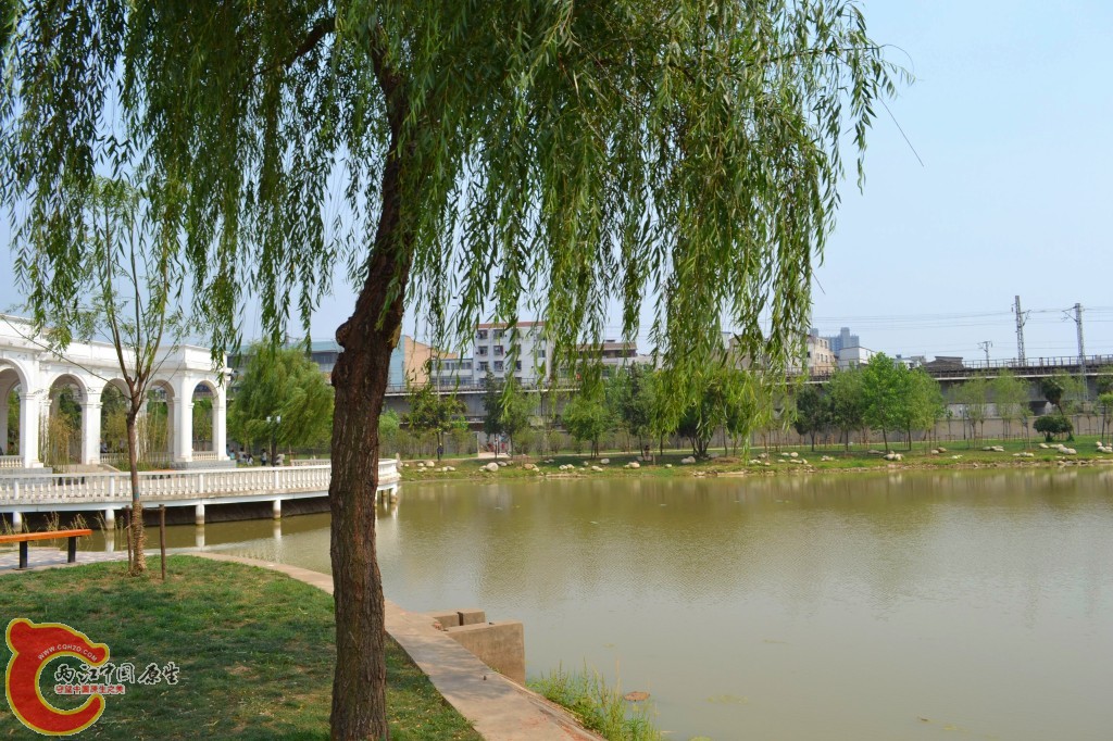 conew_201105202208.jpg