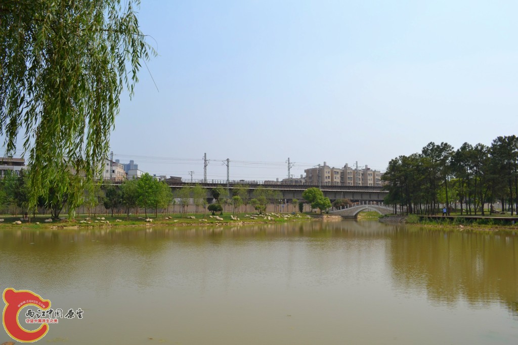 conew_201105202209.jpg