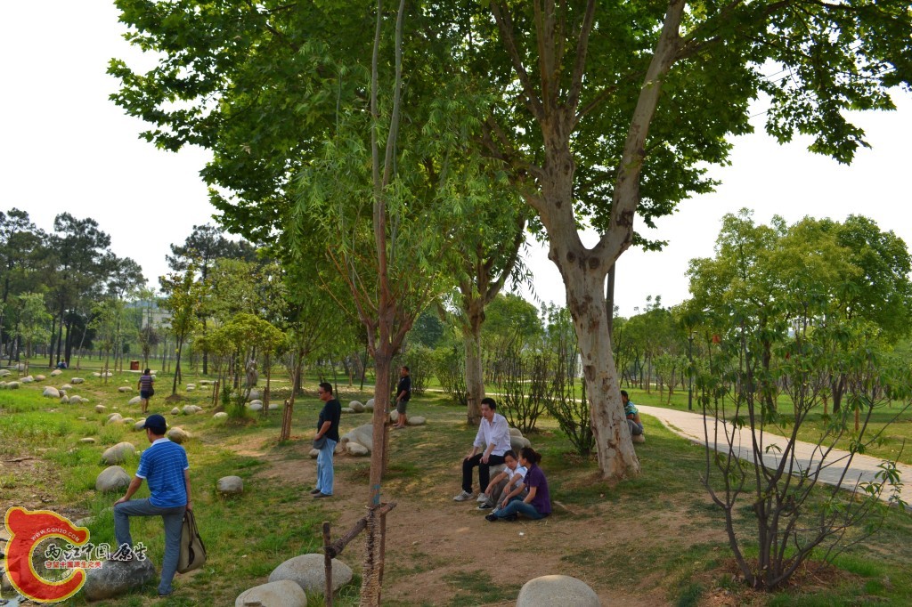 conew_201105202211.jpg