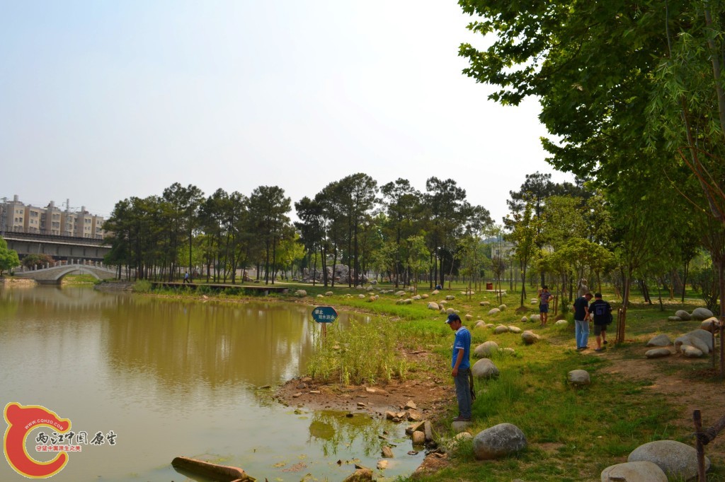 conew_201105202213.jpg