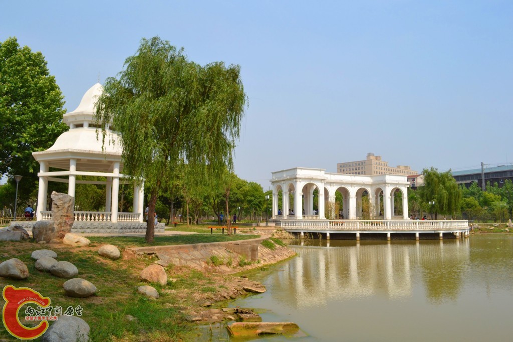 conew_201105202216.jpg