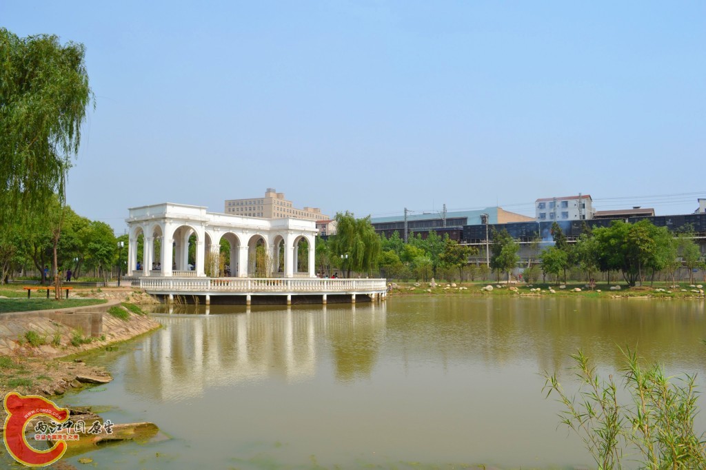 conew_201105202217.jpg
