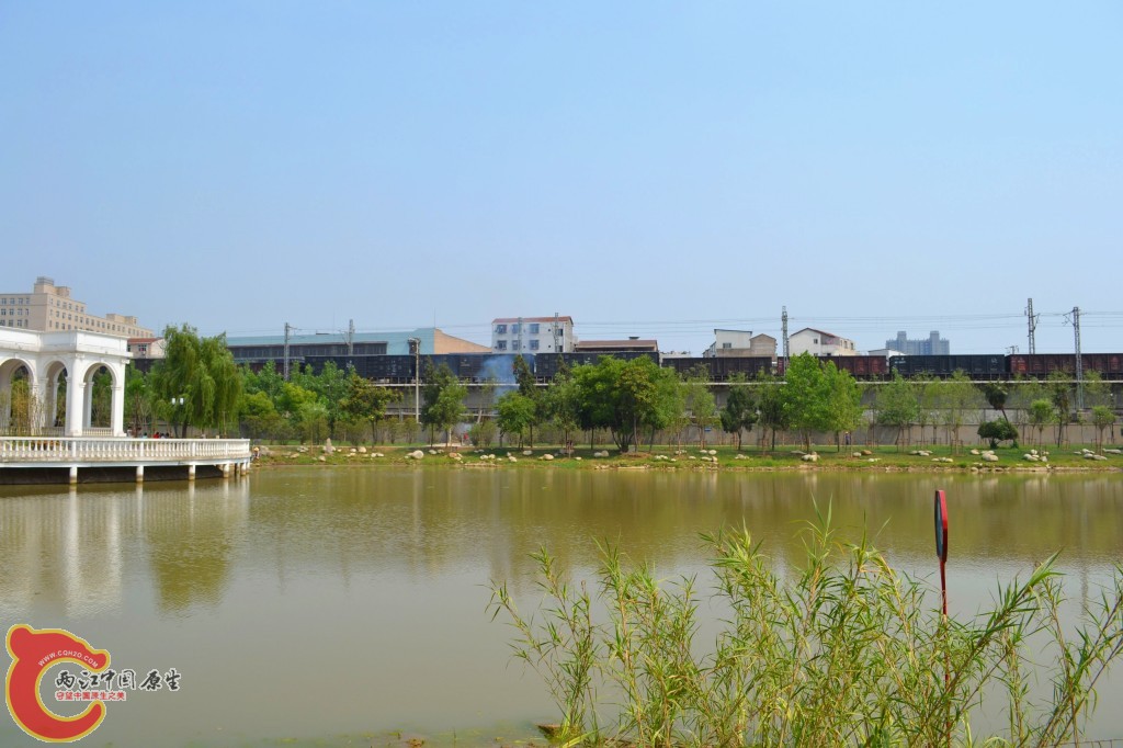 conew_201105202218.jpg