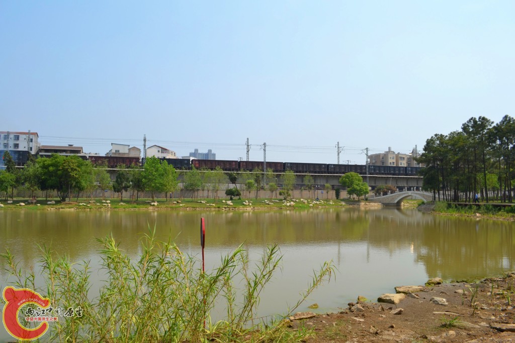 conew_201105202219.jpg