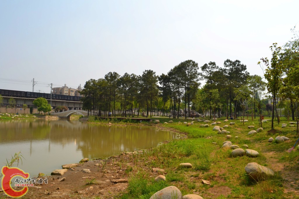conew_201105202220.jpg