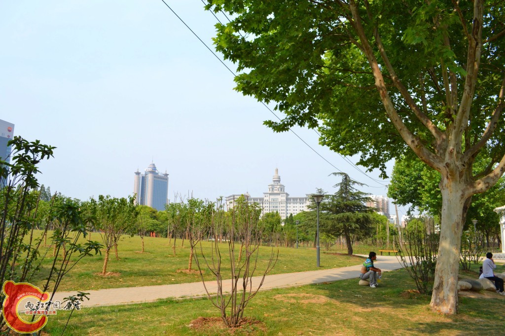 conew_201105202221.jpg