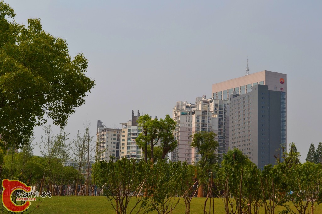 conew_201105202223.jpg