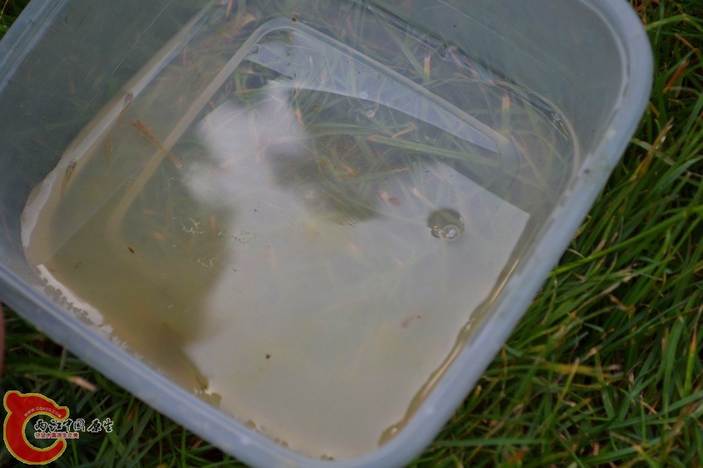 conew_201105202252.jpg