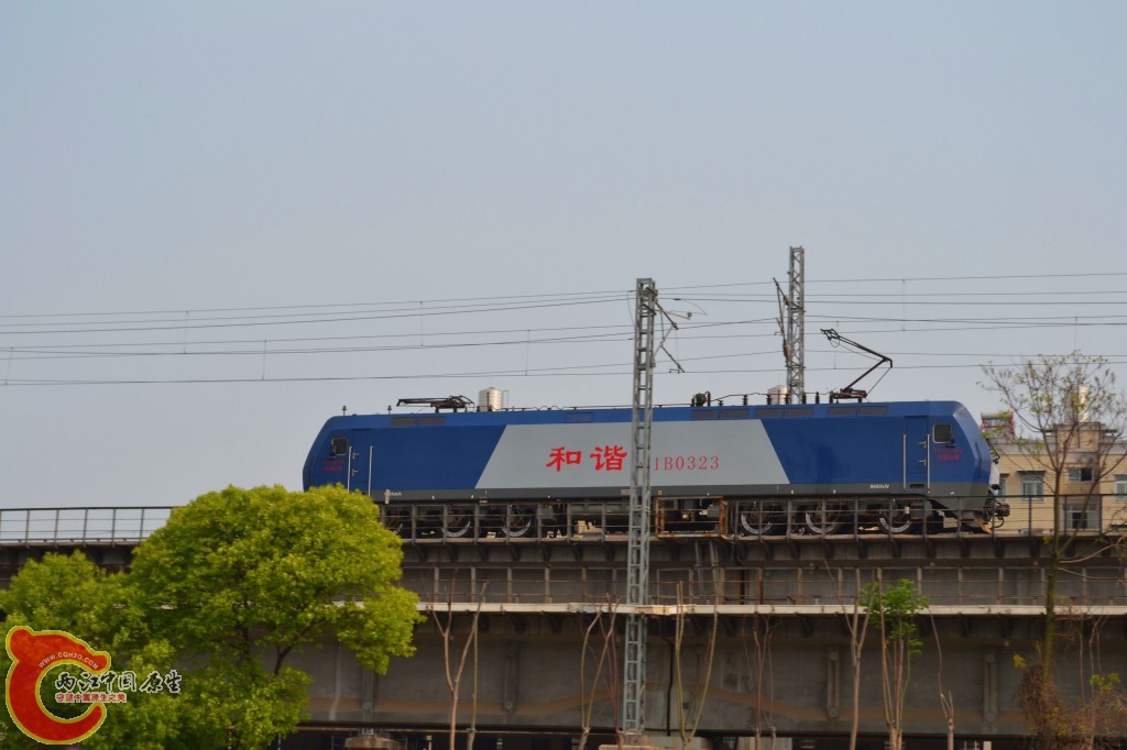 conew_201105202255.jpg