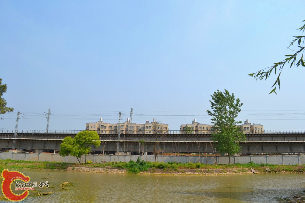 conew_201105202260.jpg