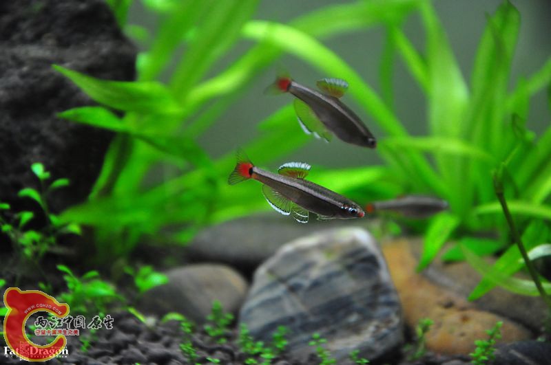 nEO_IMG_DSC_0164.jpg