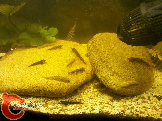 2011-05-22_21-53-23_348.jpg