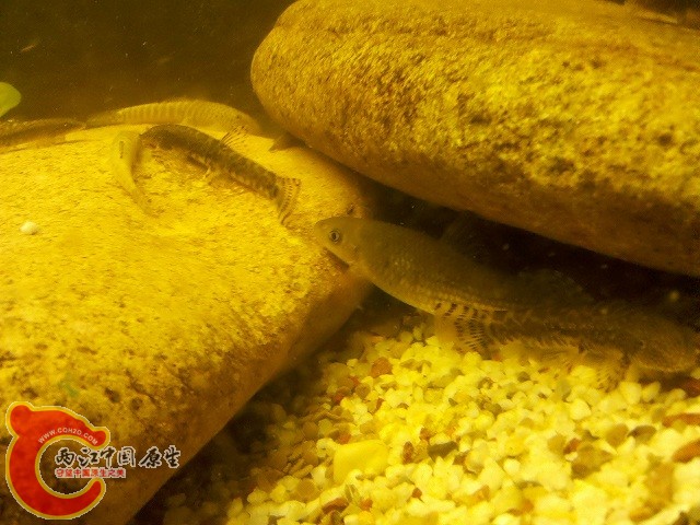 2011-05-22_21-53-35_396.jpg