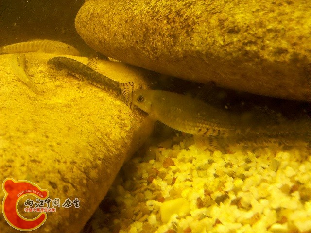2011-05-22_21-53-40_935.jpg