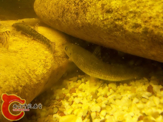 2011-05-22_21-53-48_838.jpg