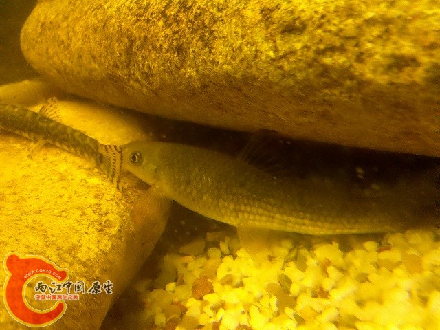 2011-05-22_21-53-55_861.jpg