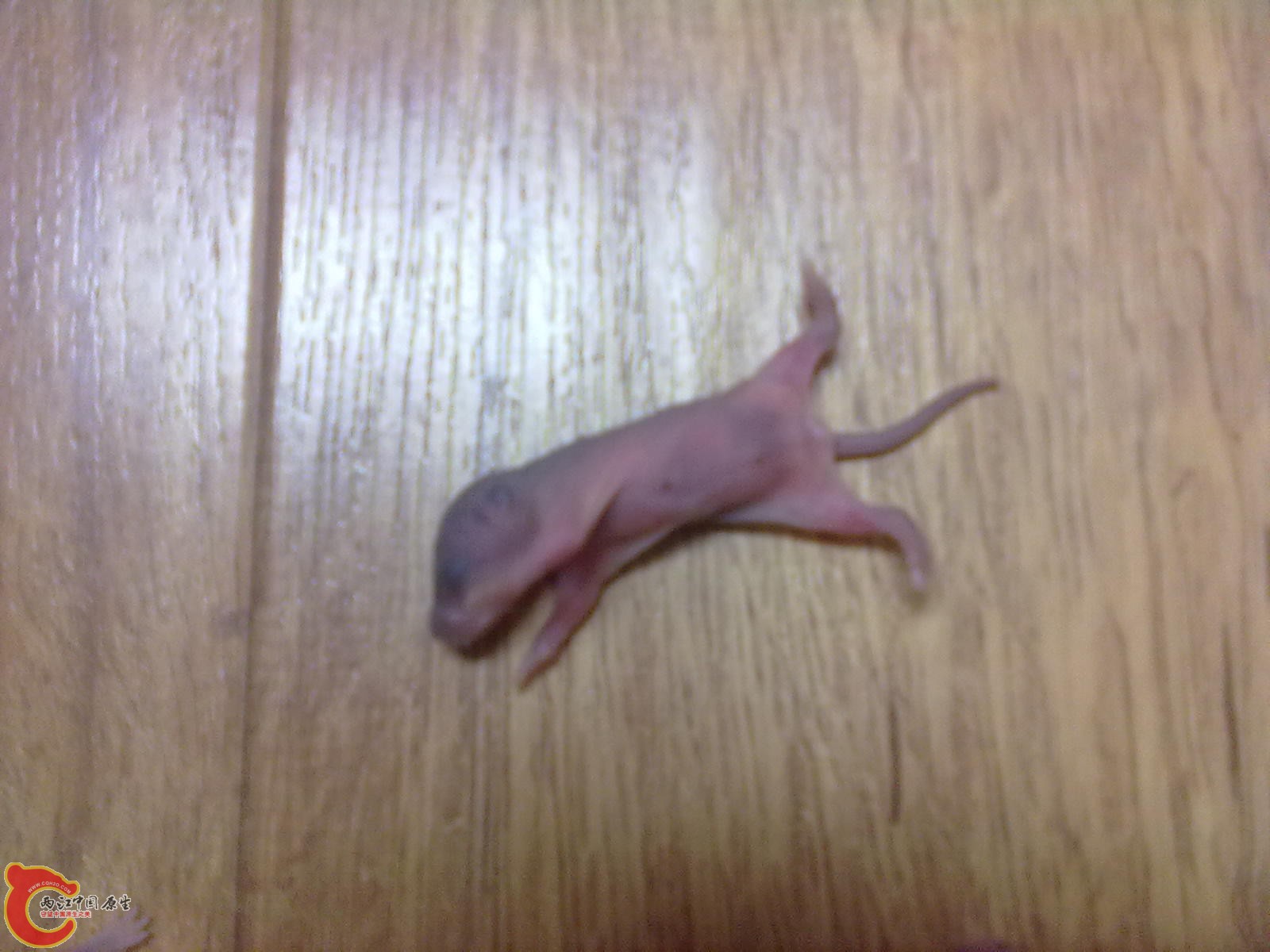 20110520055.jpg