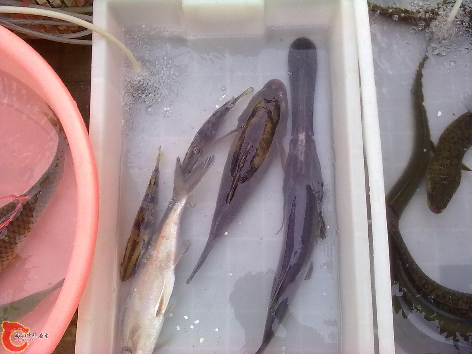 20110523058.jpg