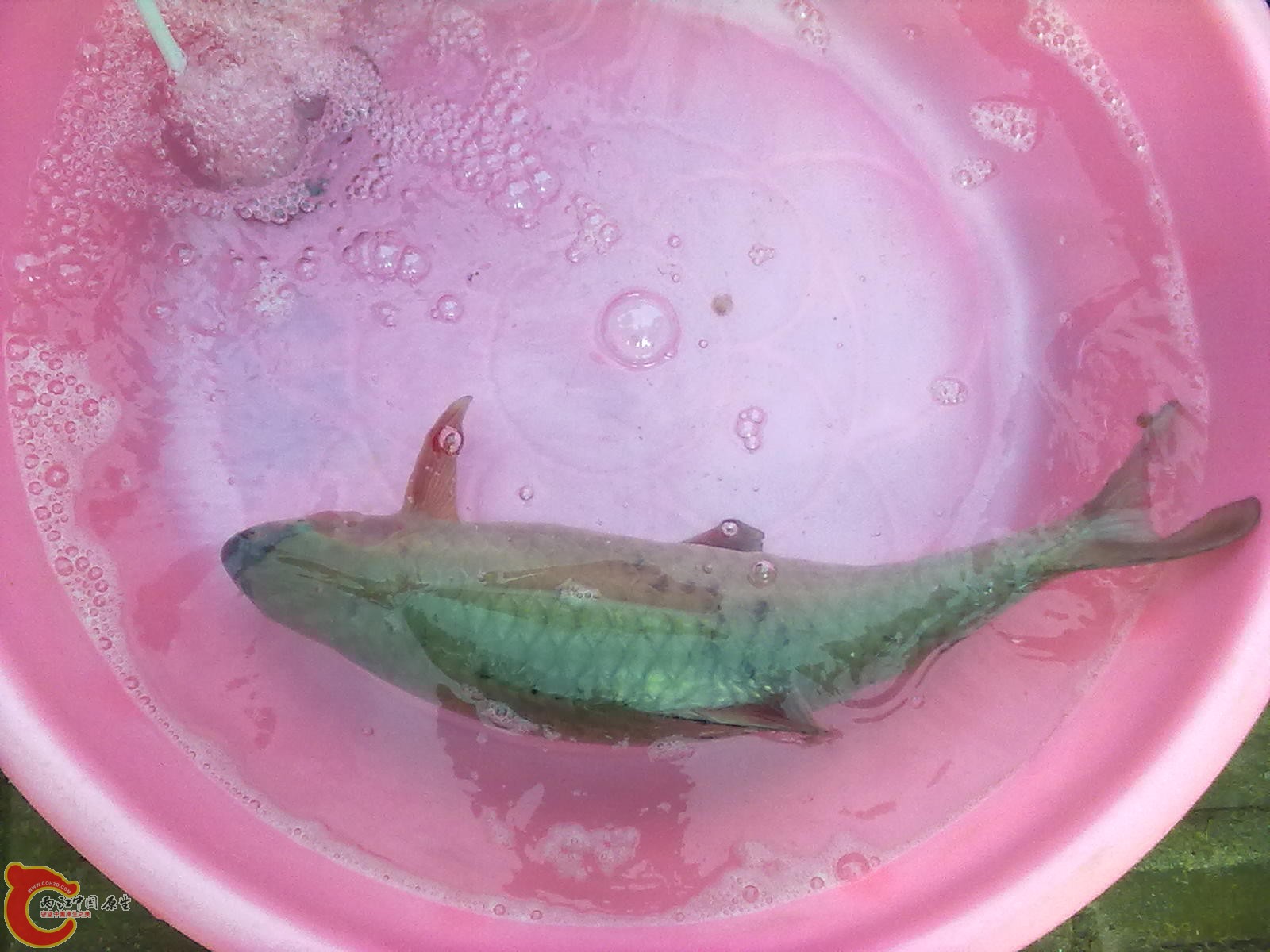 20110523064.jpg