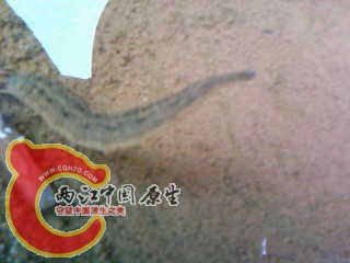 photo30.jpg