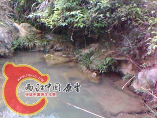 photo32.jpg