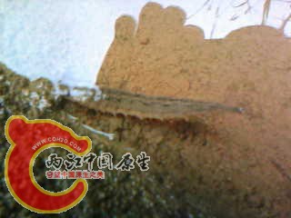 photo31.jpg
