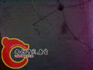 photo36.jpg