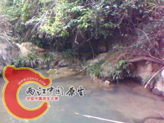 photo33.jpg