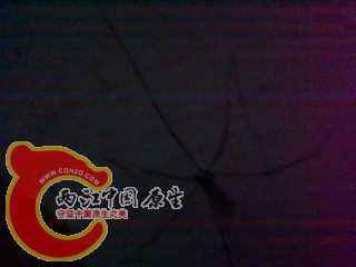 photo35.jpg
