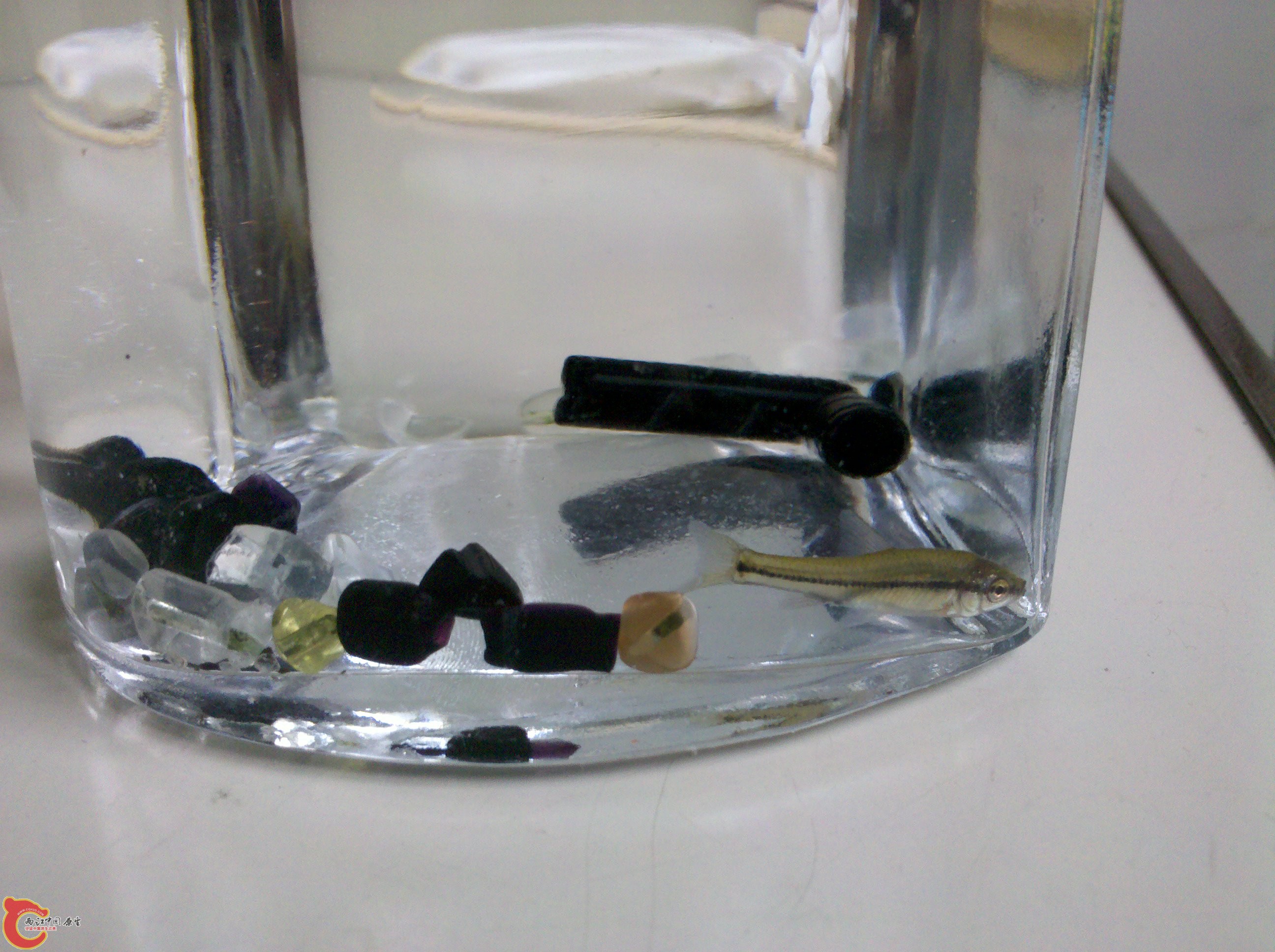 2011-05-27_12-38-41_913.jpg