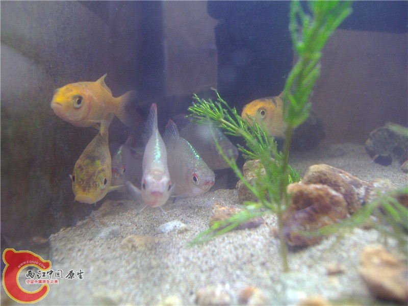 P5270003_副本.jpg