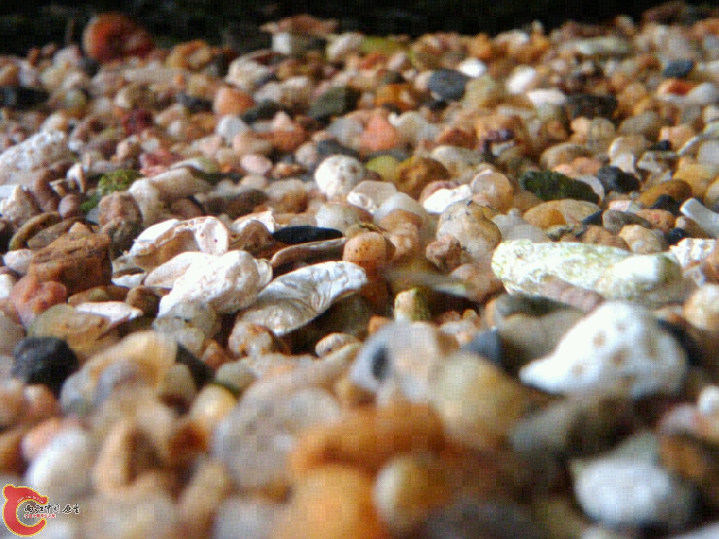 May_27_2011_108.jpg May_27_2011_108.jpg