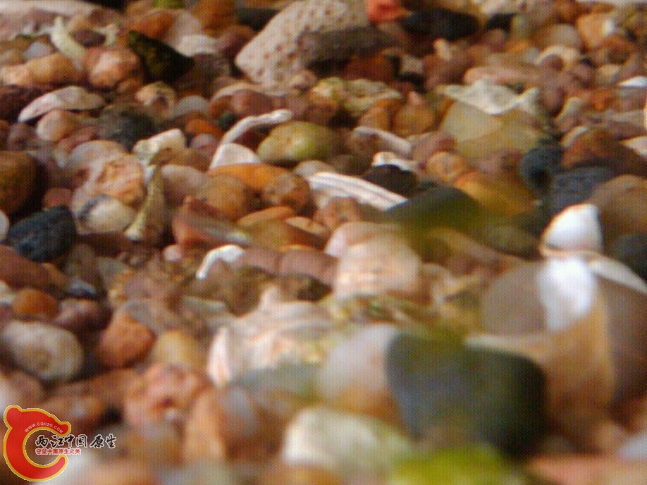 May_27_2011_147.jpg May_27_2011_147.jpg