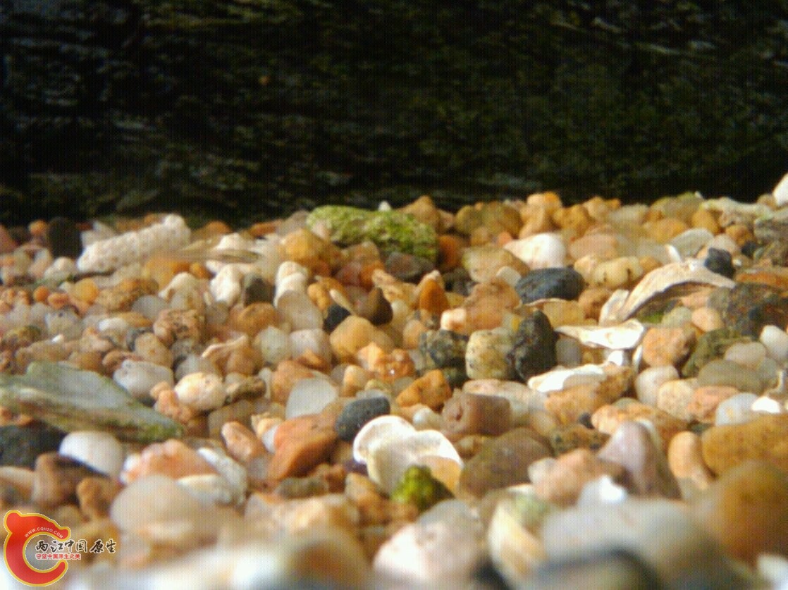 May_27_2011_4153.jpg May_27_2011_4153.jpg