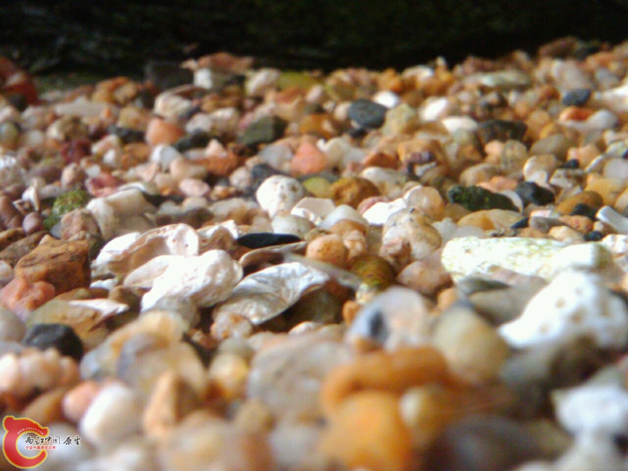 May_27_2011_7906.jpg May_27_2011_7906.jpg