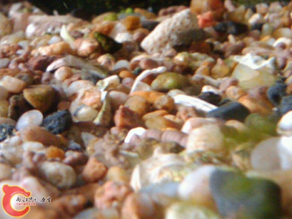 May_27_2011_9967.jpg May_27_2011_9967.jpg