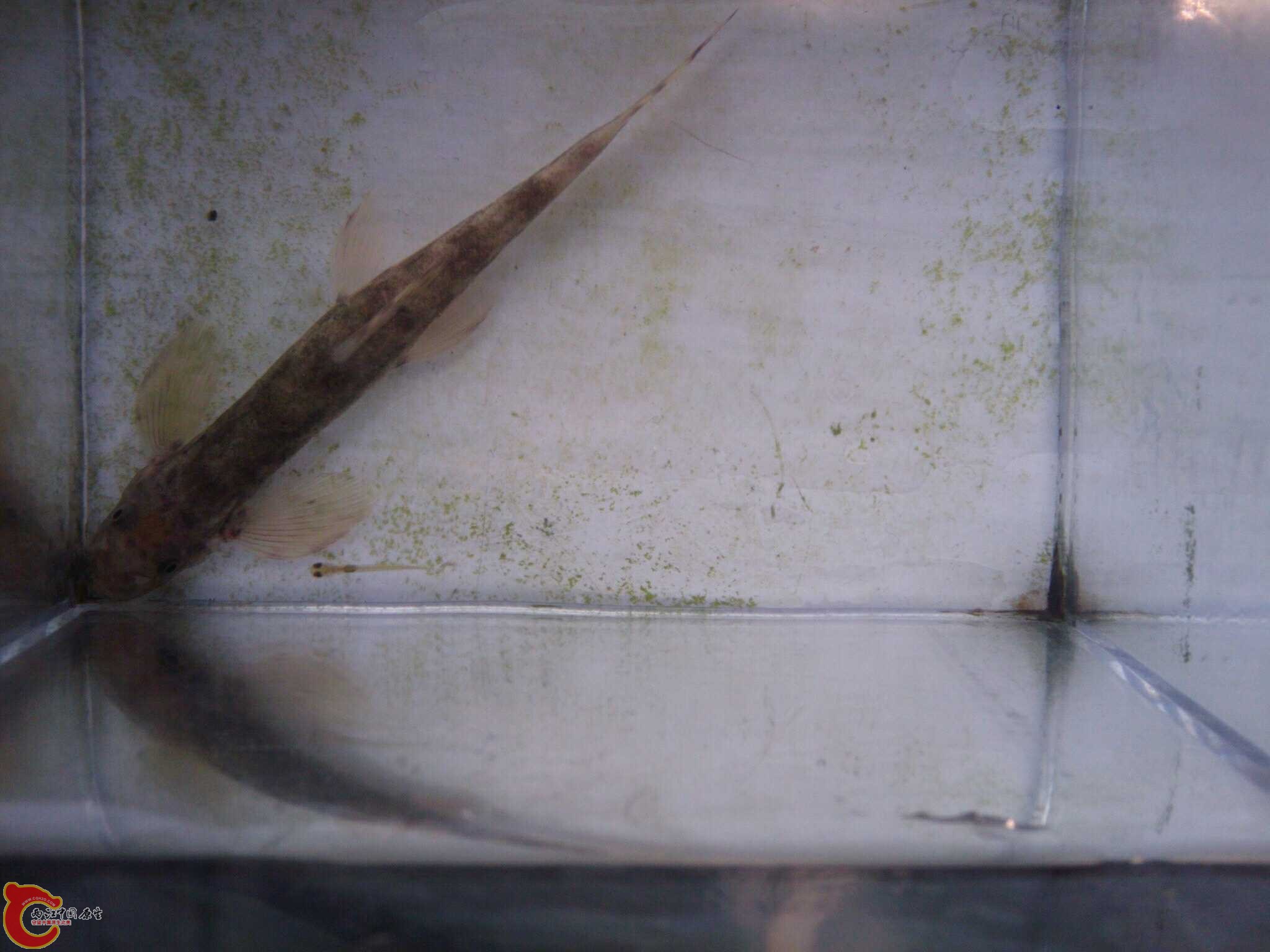 May_28_2011_424.jpg May_28_2011_424.jpg