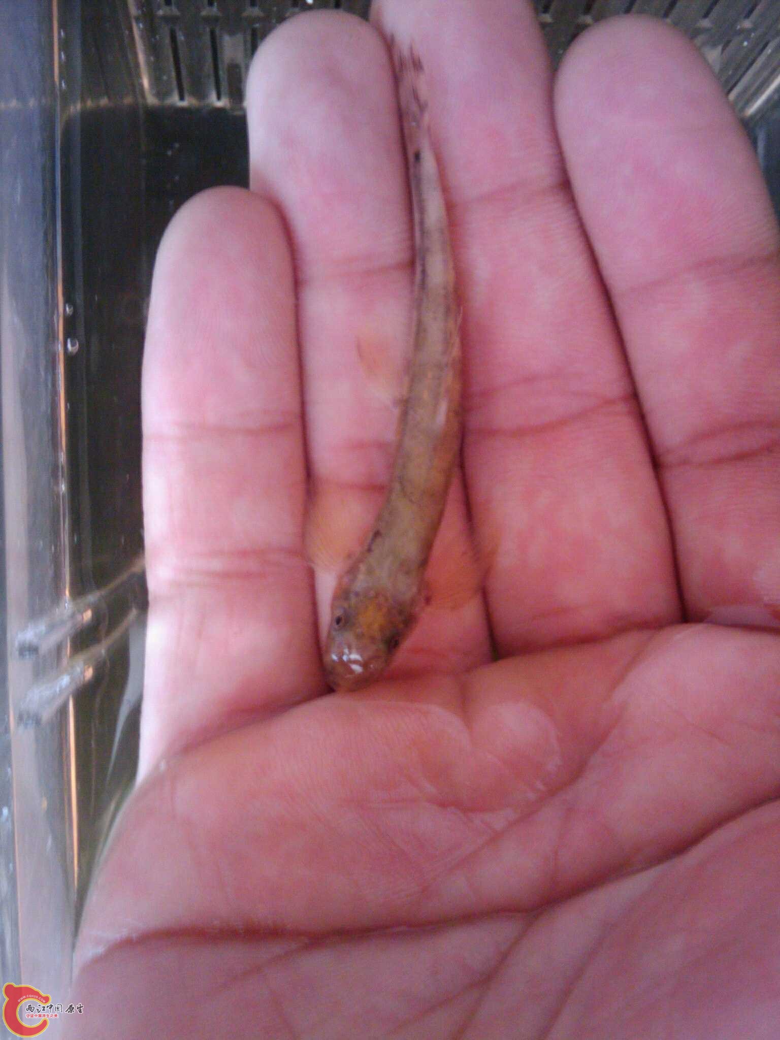 May_28_2011_579.jpg May_28_2011_579.jpg