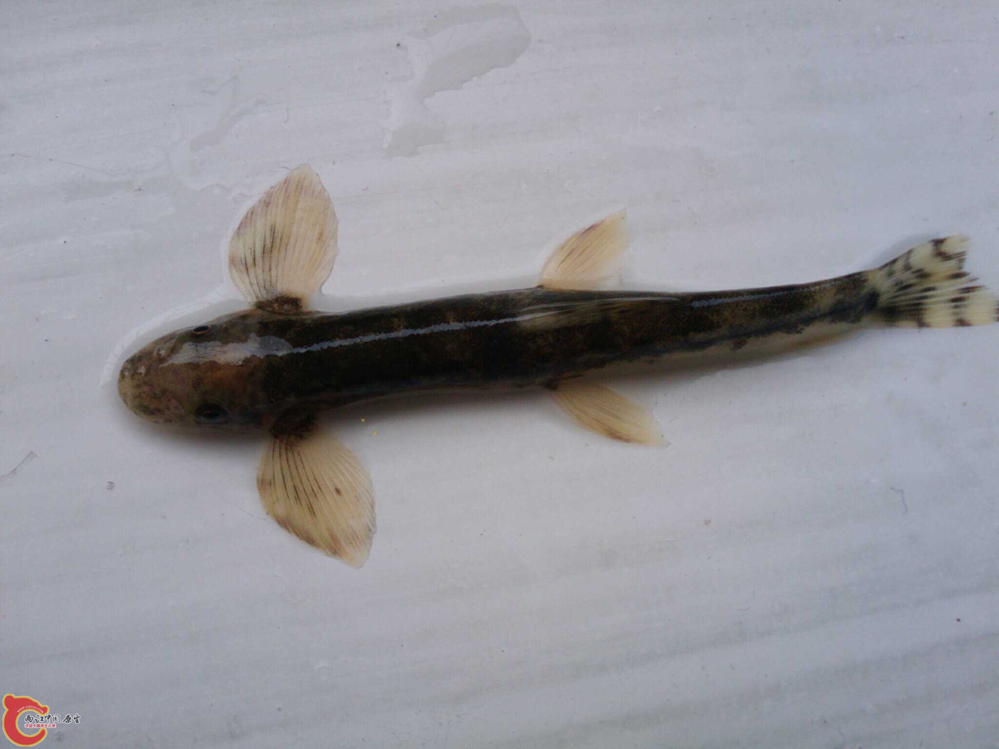 May_28_2011_2580.jpg May_28_2011_2580.jpg