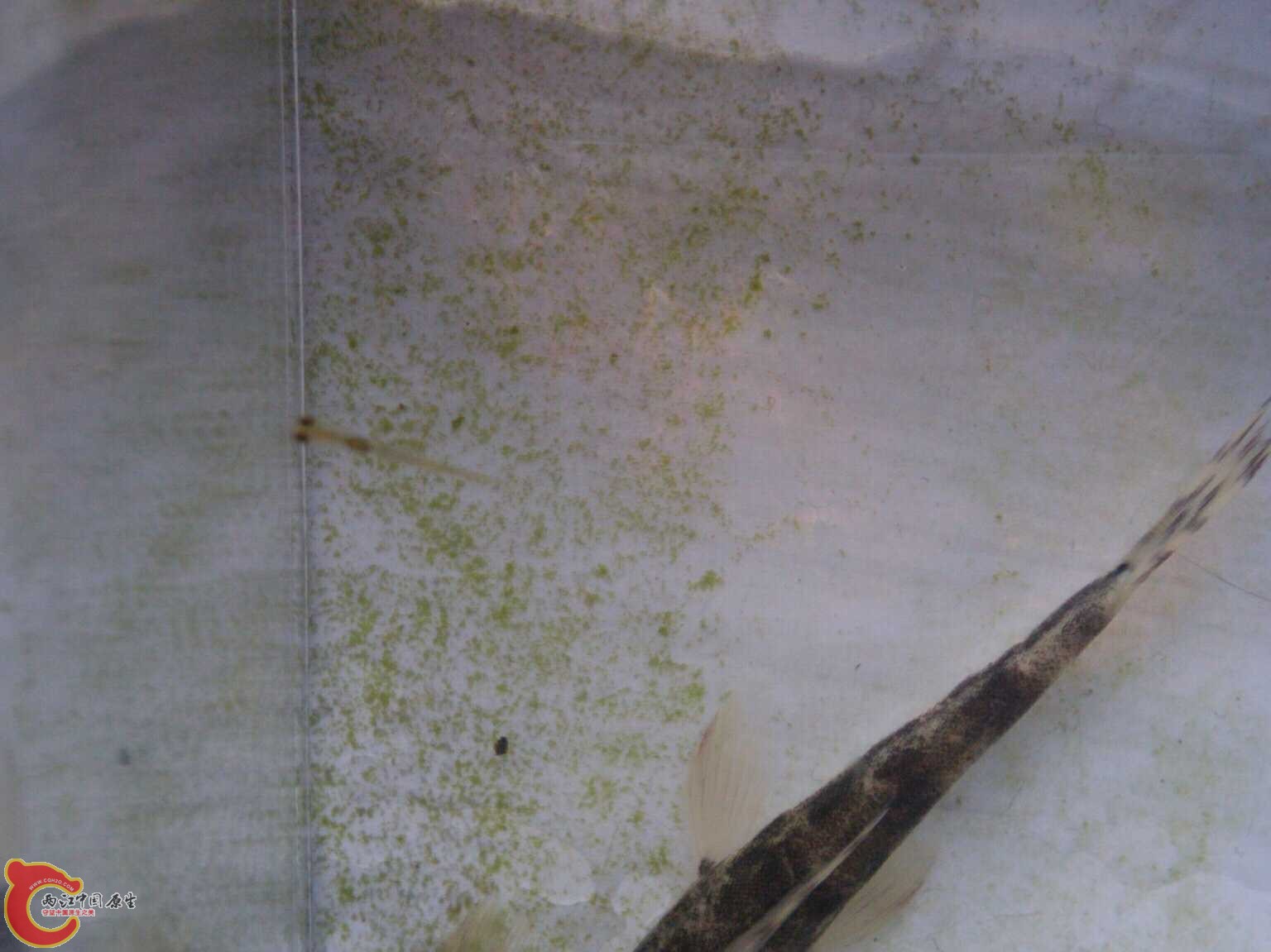 May_28_2011_6894.jpg May_28_2011_6894.jpg