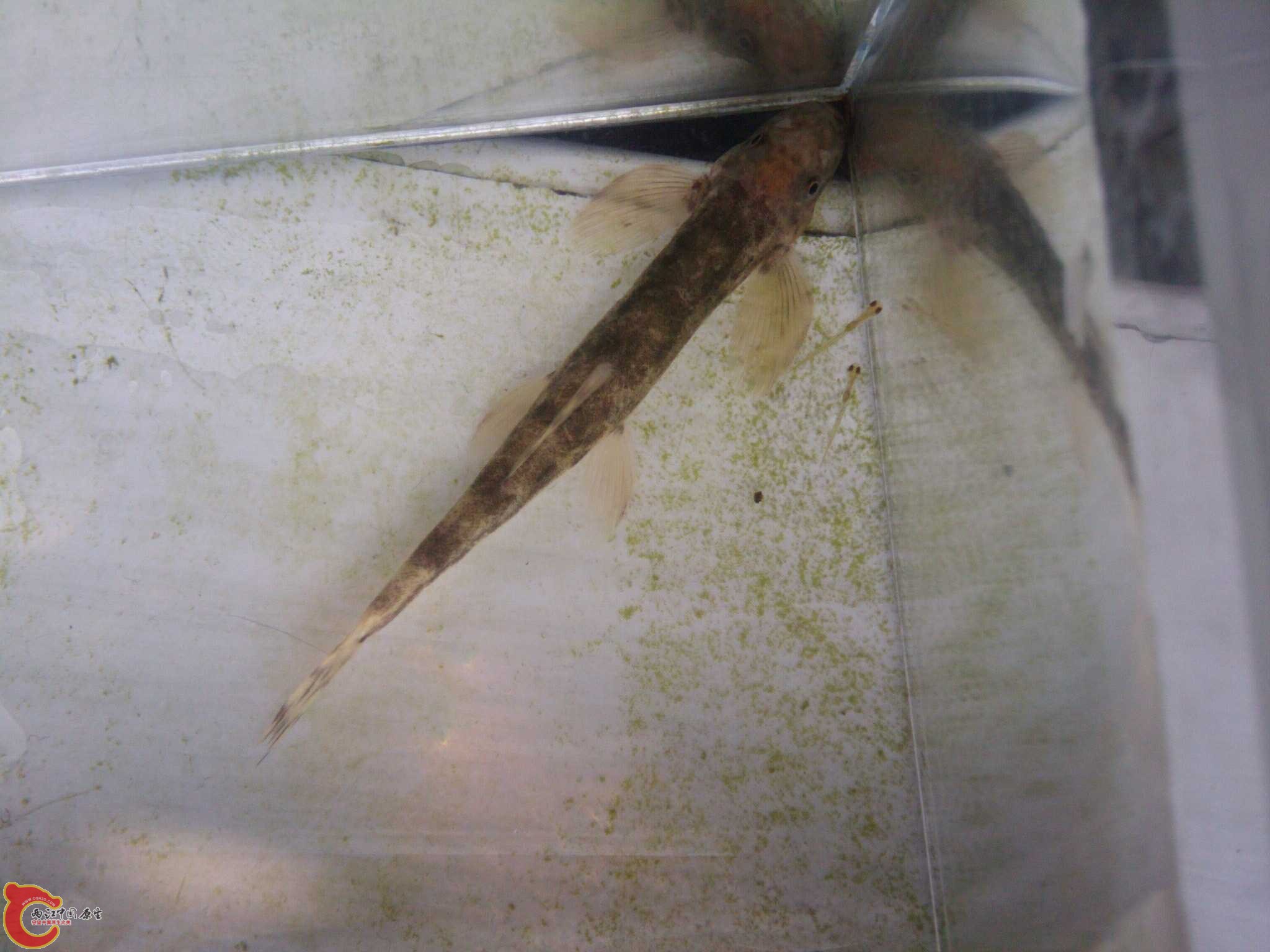 May_28_2011_9026.jpg May_28_2011_9026.jpg