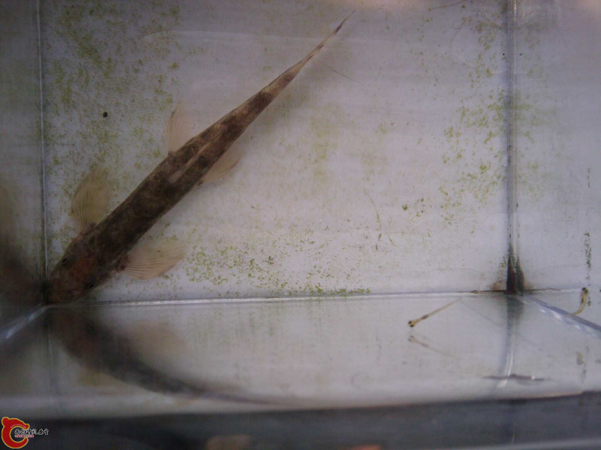 May_28_2011_9707.jpg May_28_2011_9707.jpg