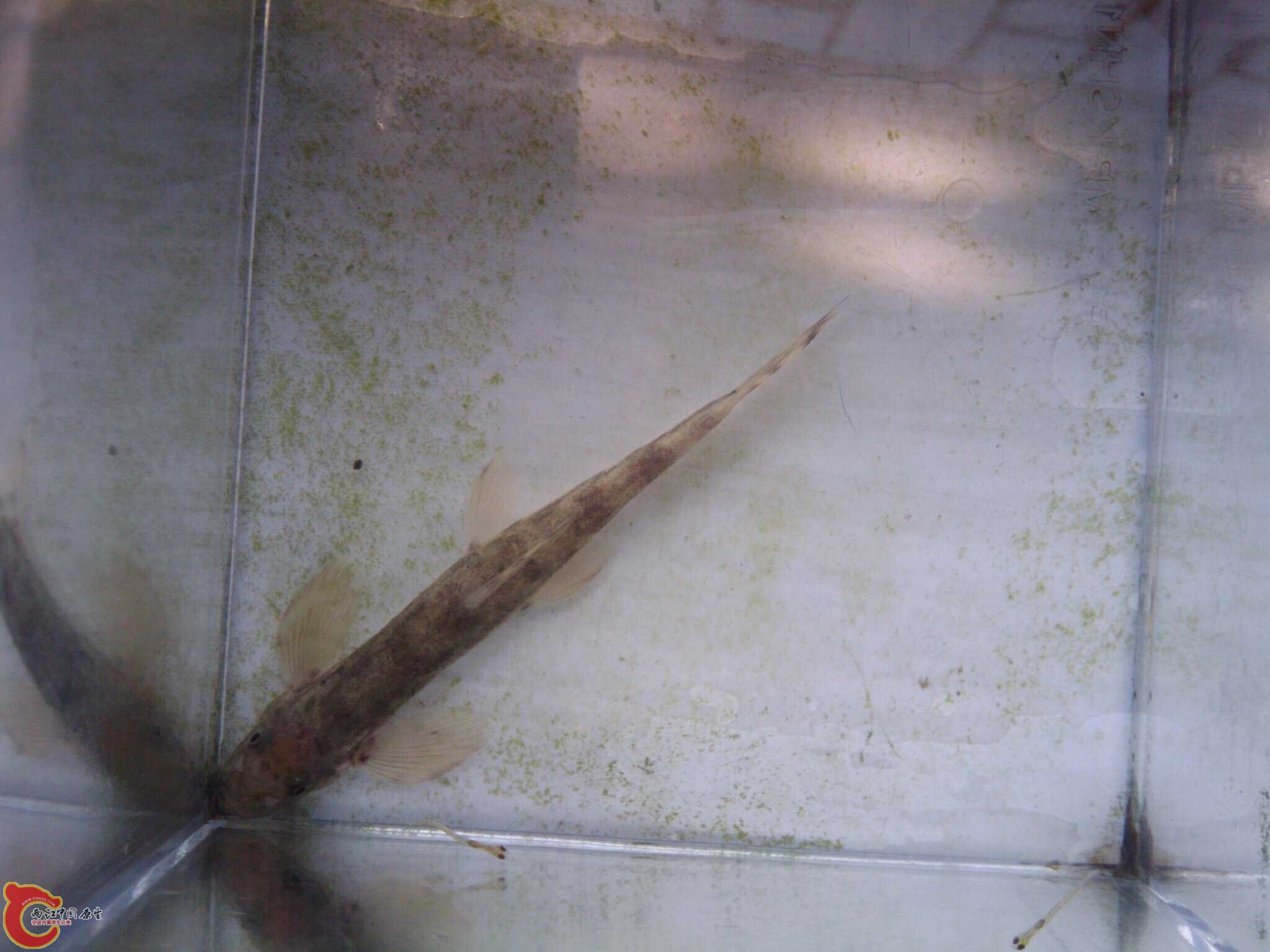 May_28_2011_9794.jpg May_28_2011_9794.jpg