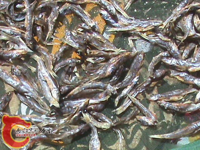 DSC00629.JPG