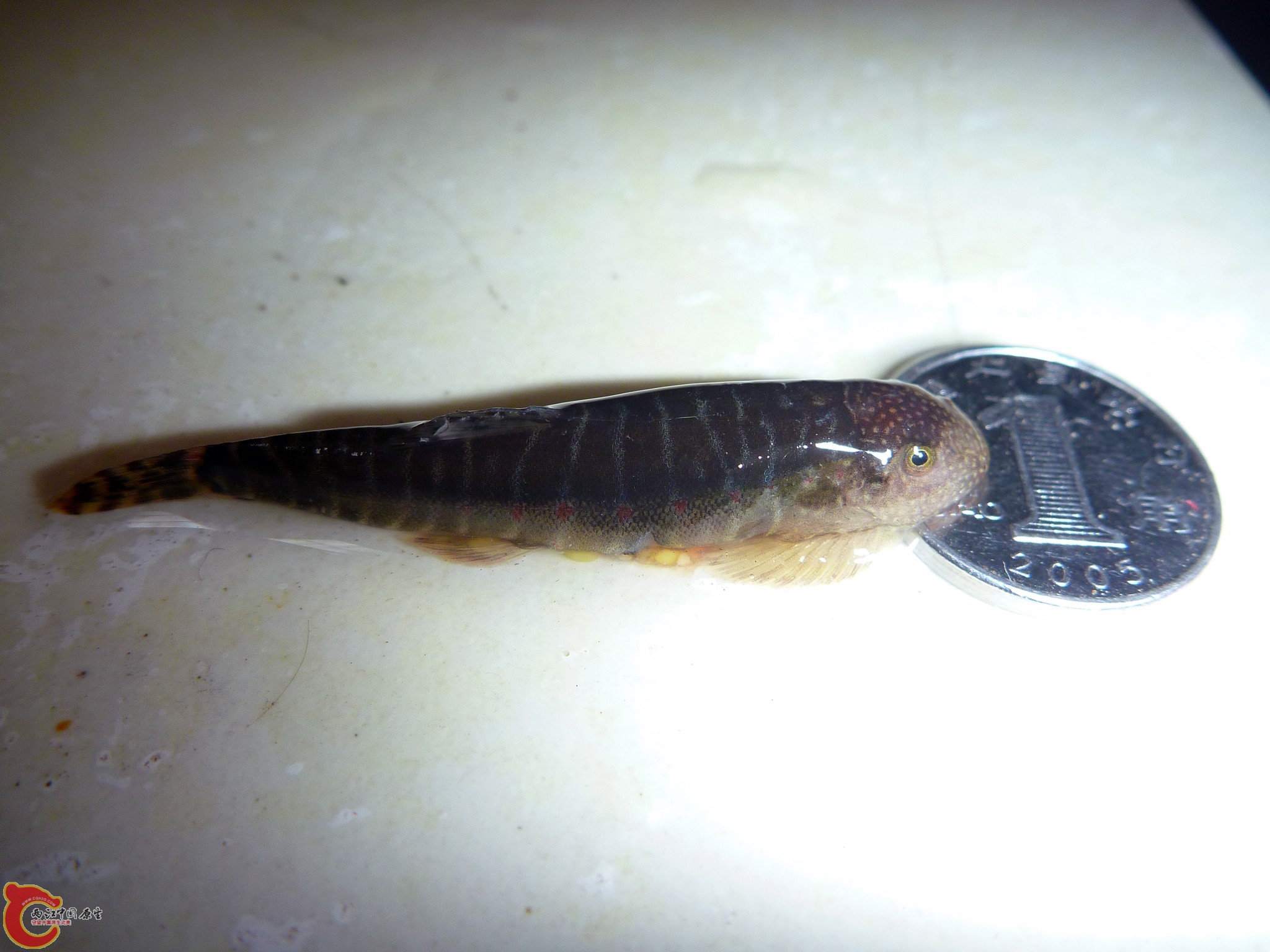 20110529-04.jpg
