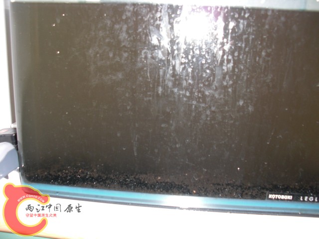 放進去後水就變成這樣了T.T