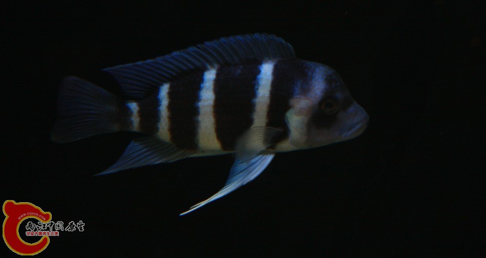 06.jpg