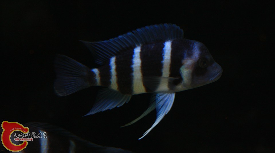 05.jpg