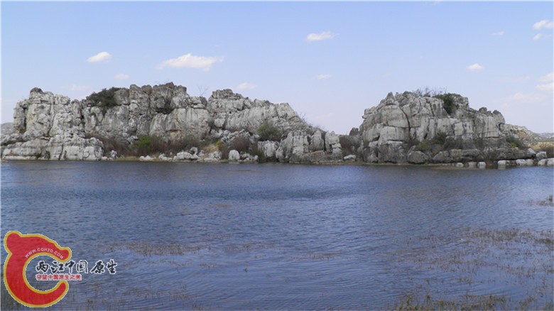 P3130427_副本.jpg